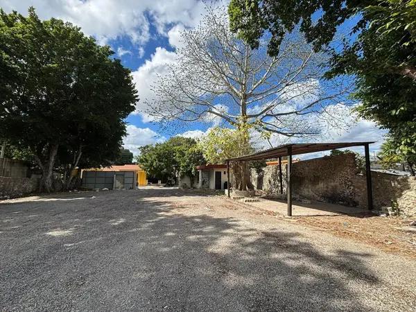 SE RENTA TERRENO / ESTACIONAMIENTO EN EL CENTRO DE IZAMAL