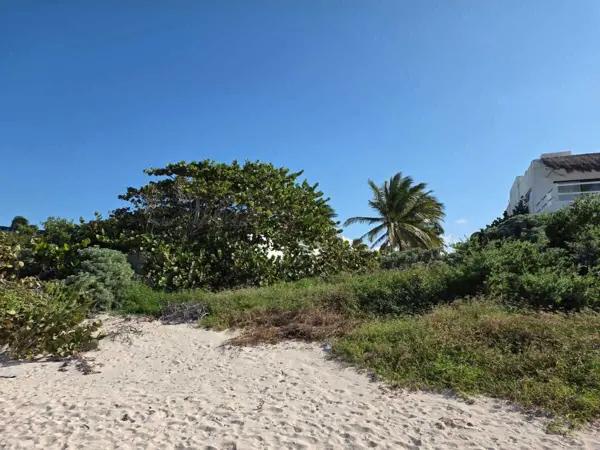 SE VENDE TERRENO FRENTE AL MAR EN CHUBURNA PUERTO SE VENDE TERRENO FRENTE AL MAR EN CHUBURNA PUERTO
