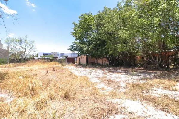 TERRENO EN VENTA EN DZITYA, MERIDA, YUCATAN