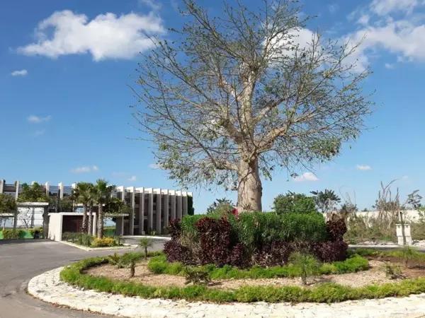 TERRENO EN VENTA EN PRIVADA CON AMENIDADES, CONKAL