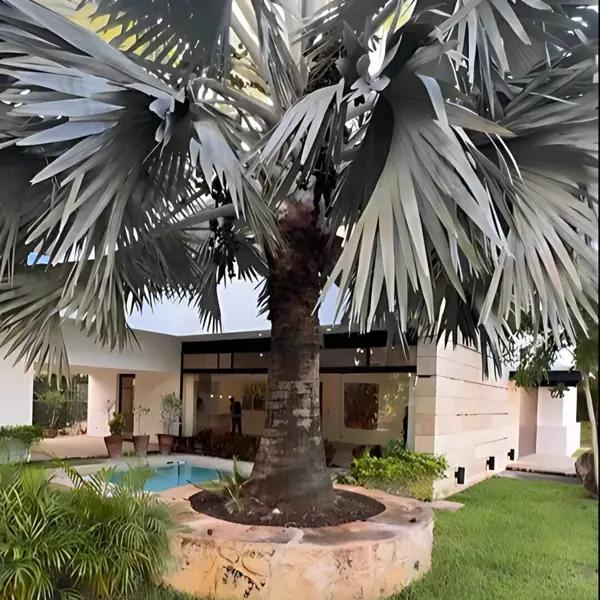 PRECIOSA CASA EN VENTA, COUNTRY CLUB, YUCATAN PRECIOSA CASA EN VENTA, COUNTRY CLUB, YUCATAN