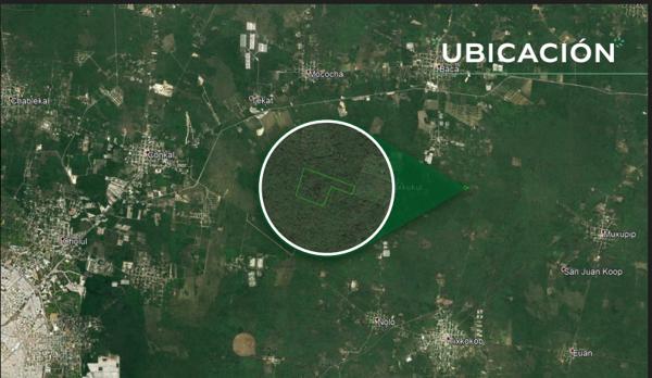 EN VENTA TERRENOS , YAXKUKUL, MERIDA. EN VENTA TERRENOS , YAXKUKUL, MERIDA.