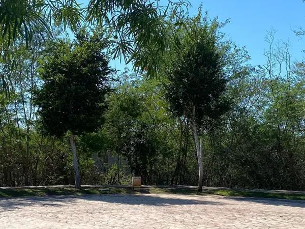 TERRENO EN VENTA, EN EL COUNTRY CLUB, MERIDA TERRENO EN VENTA, EN EL COUNTRY CLUB, MERIDA