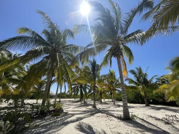 TERRENO EN VENTA EN LA PLAYA EN SAN BENITO EN MÉRIDA YUCATÁN TERRENO EN VENTA EN LA PLAYA EN SAN BENITO EN MÉRIDA YUCATÁN