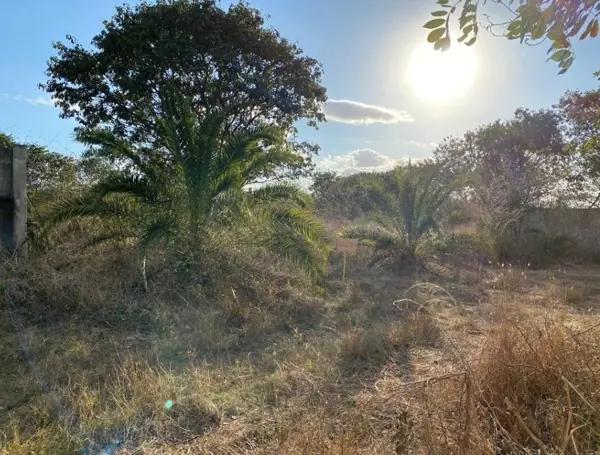 TERRENO EN VENTA EN CHOLUL IDEAL PARA DESARROLLAR