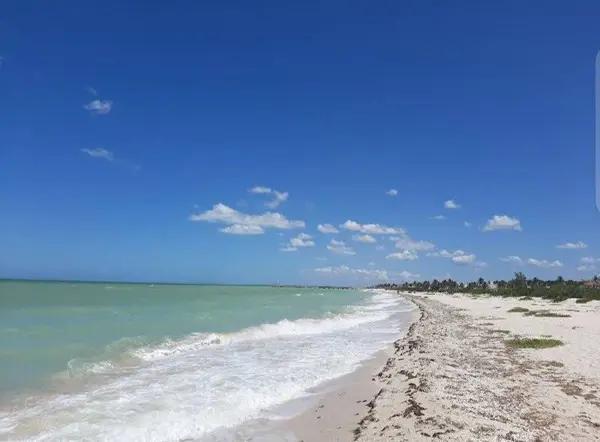 TERRENO FRENTE AL MAR EN VENTA EN MÉRIDA YUCATÁN EN SISAL TERRENO FRENTE AL MAR EN VENTA EN MÉRIDA YUCATÁN EN SISAL