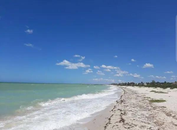 TERRENO FRENTE AL MAR DE 20 METROS LINEALES EN SISAL YUCATÁN TERRENO FRENTE AL MAR DE 20 METROS LINEALES EN SISAL YUCATÁN
