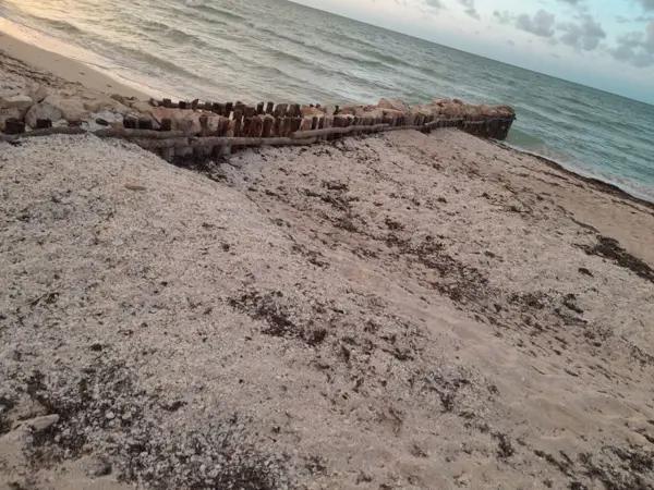 TERRENO EN VENTA FRENTE AL MAR CON 20 ML EN CHUBURNÁ PUERTO EN MÉRIDA YUCATÁN