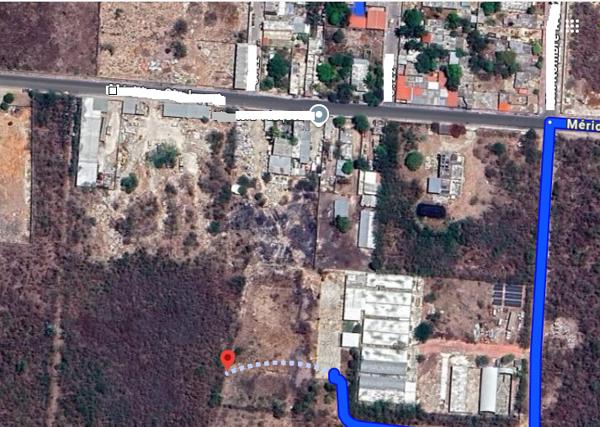 SE VENDE TERRENO DE TRES HECTAREAS EN SUSULÁ, MERIDA  YUCATÁN.