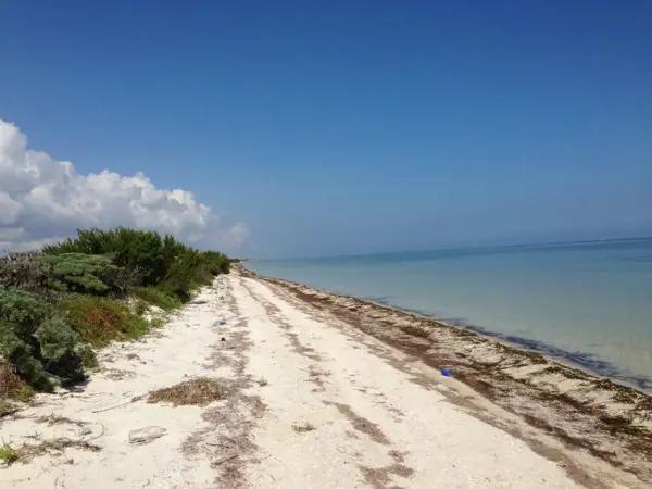 TERRENO EN VENTA EN SEGUNDA FILA FRENTE AL MAR EN MÉRIDA YUCATÁN EN SANTA CLARA