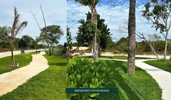 TERRENO RESIDENCIAL CON AMENIDADES EN VENTA EN CARRETERA MERIDA-PROGRESO TERRENO RESIDENCIAL CON AMENIDADES EN VENTA EN CARRETERA MERIDA-PROGRESO