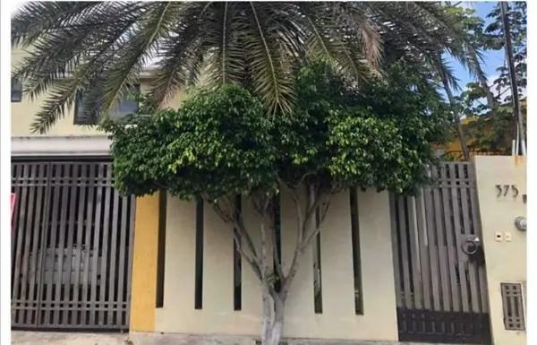 VENTA DE CASA EN PEDREGALES DE TANLUM