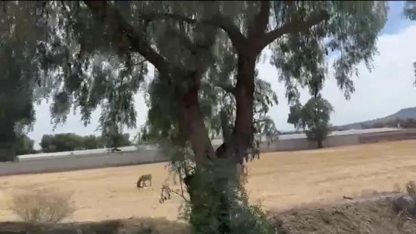 Terreno en Venta Villa de Tezontepec Centro, Hidalgo
