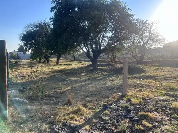 Terreno en venta |Cuautlancingo | Compra en etapa de crecimiento y capitaliza plusvalía acelerada