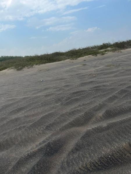 Se venden 42 has frente al golfo en Ursulo Galván