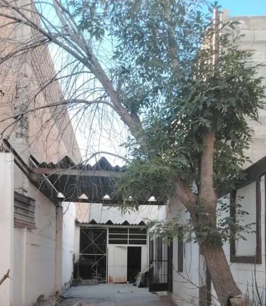 PARA INVERSIONISTAS EXCELENTE UBICACIÓN CENTRO DE TORREÓN MUY CERCA DEL BOSQUE PARA INVERSIONISTAS EXCELENTE UBICACIÓN CENTRO DE TORREÓN MUY CERCA DEL BOSQUE
