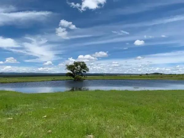 Terreno en venta en General Máximo García (El Pino), Durango, Durango Terreno en venta en General Máximo García (El Pino), Durango, Durango