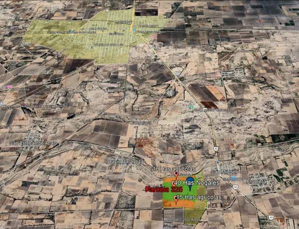 Terreno Agrícola (Nogalera) en San Pedro, Coahuila.