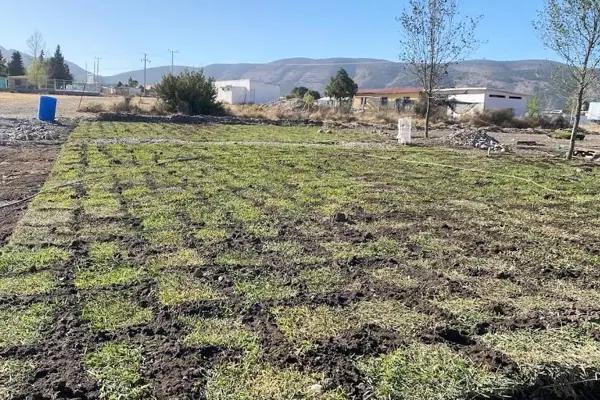 Lotes Campestres en VENTA en “Valle del Diamante” Lotes Campestres en VENTA en “Valle del Diamante”
