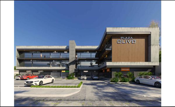 Local comercial en renta en plaza Los Olivos