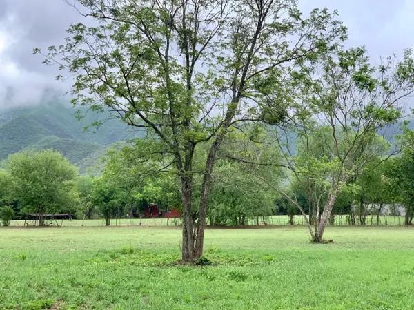 Venta de Terreno para desarrollar en Santiago, NL