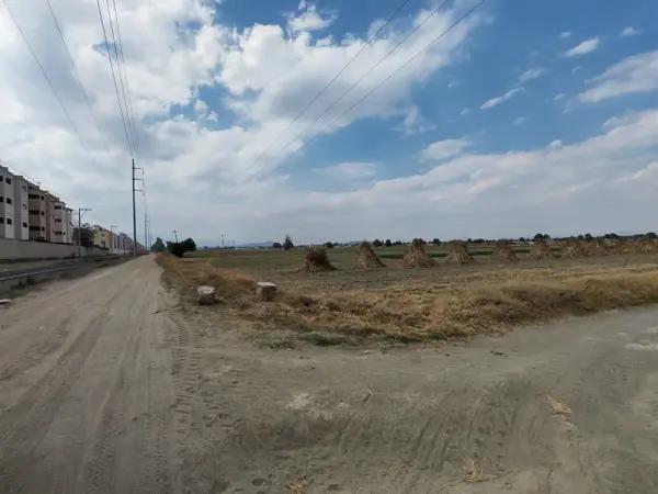 TERRENO EN VENTA EN REAL SEGOVIA, HUEJOTZINGO, PUEBLA.