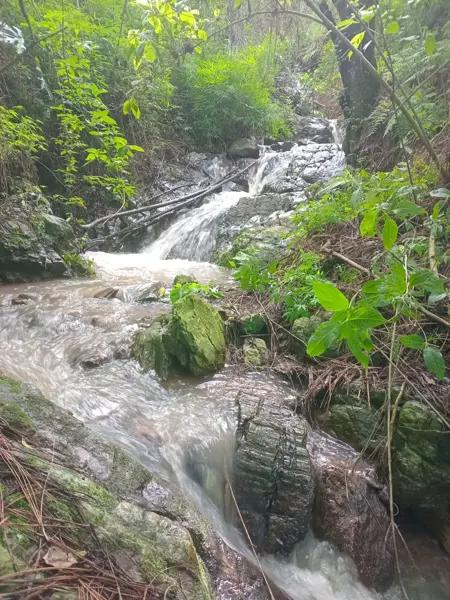 12 hectáreas a 15 minutos de malinalco