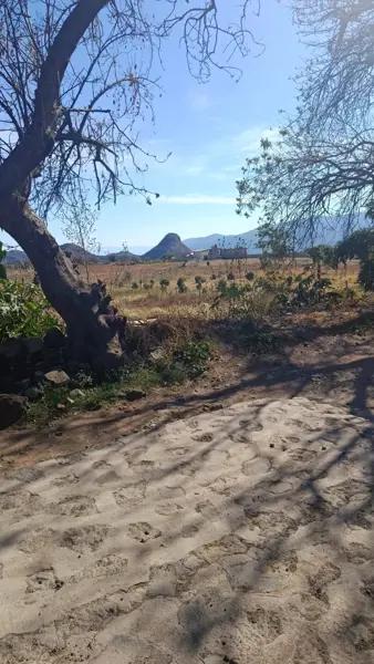 Terreno
