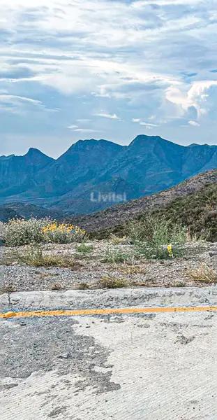 Terreno en Venta en Terralta