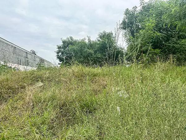 Terreno en Renta en Juarez