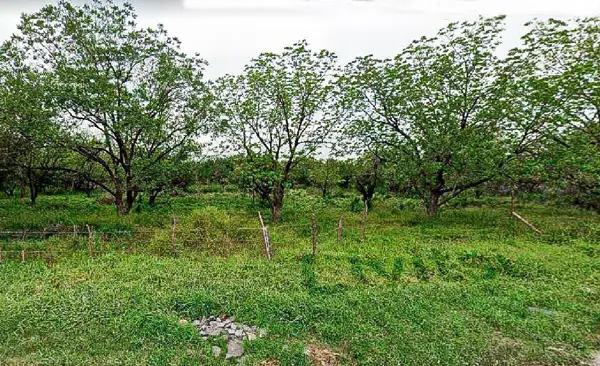 Terreno en Venta en Escobedo Terreno en Venta en Escobedo