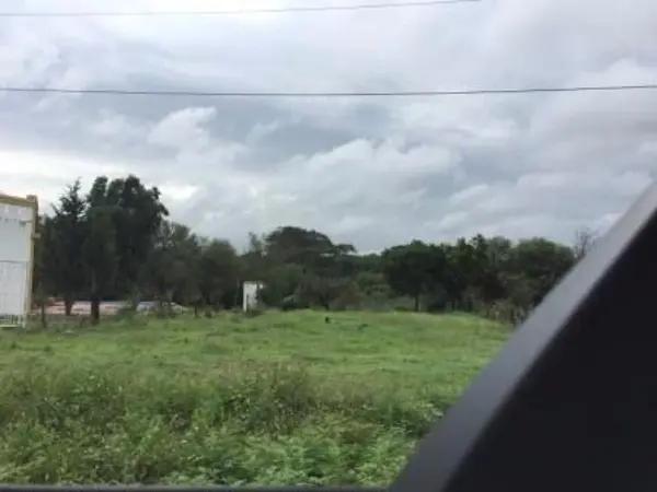 Terreno en Venta en Linares Nuevo Leon Terreno en Venta en Linares Nuevo Leon