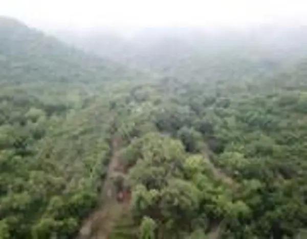 Terreno En Venta Allende