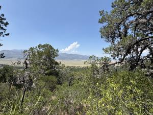 Terreno en venta en Campestre San Antonio, Arteaga, Coahuila de Zaragoza