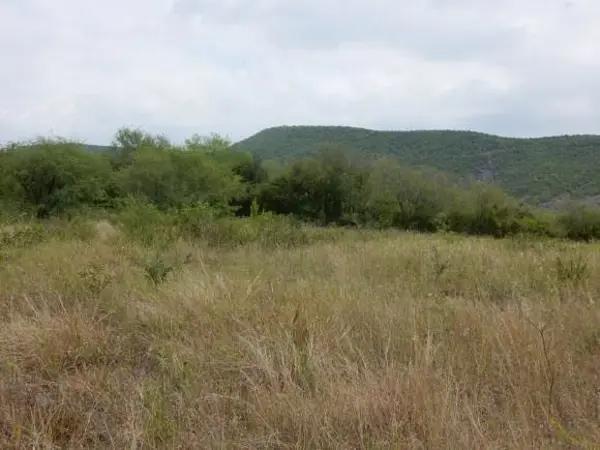 TERRENO EN VENTA MONTEMORELOS N L