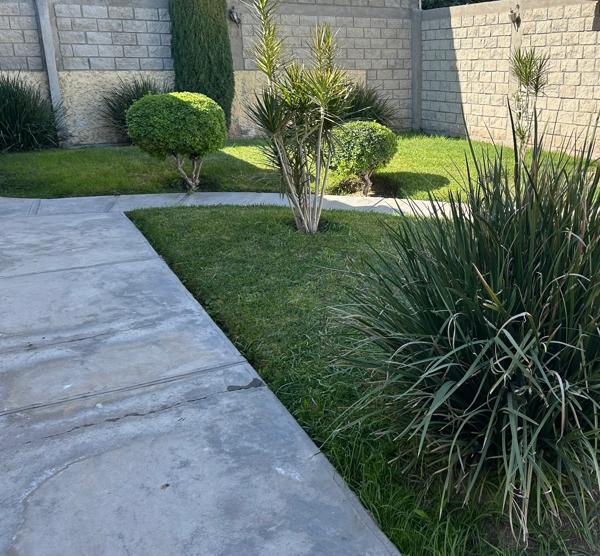 Casa de una planta. Hermoso y Amplio Jardín- Gómez Palacio