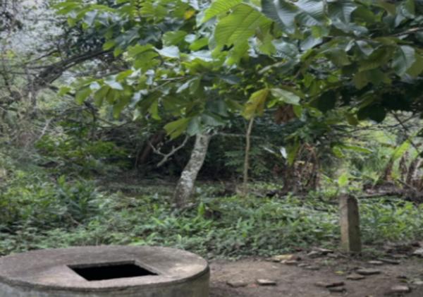 TERRENO DE ENTREGA INMEDIATA EN AV. PALO BLANCO SAN FERNANDO CHIAPAS