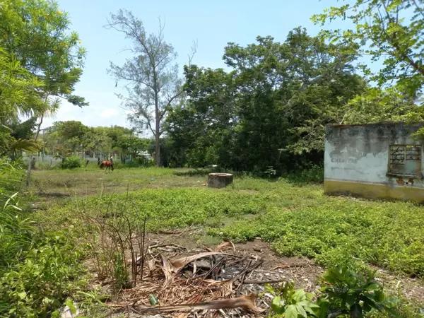Terreno 2013m2 en el Zapote, Alvarado, Veracruz