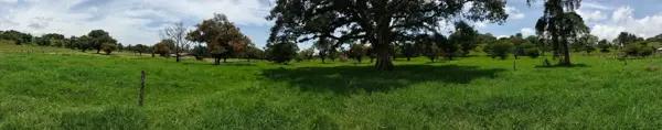 Hermoso terreno campestre con espectacular vista en Xico, Veracruz