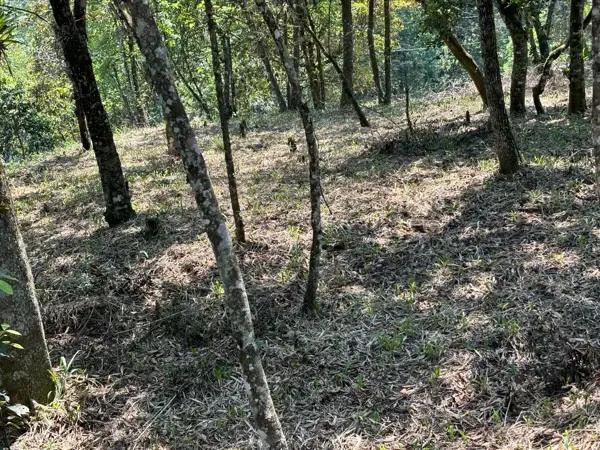 Terreno en Tlalnelhuayocan