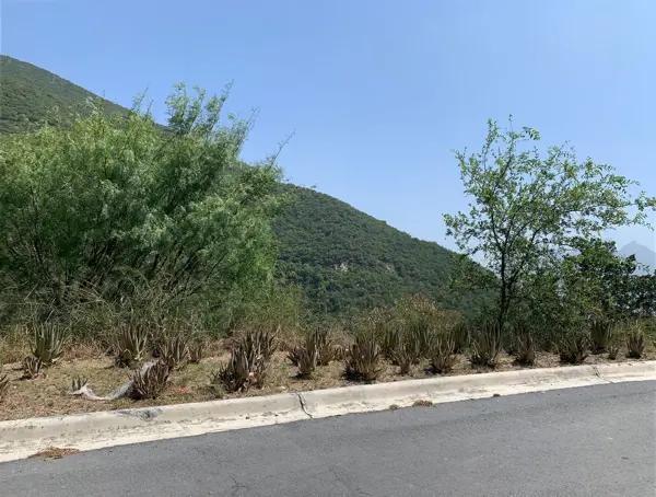 Terreno en Venta en Renacimiento