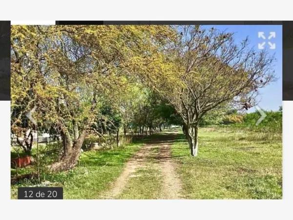 Quinta Campestre en Venta en Montemorelos