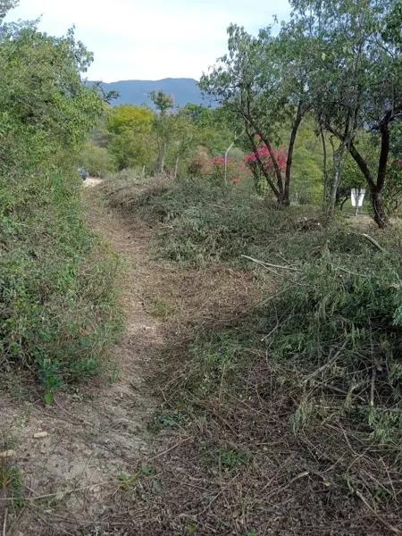 Terreno en Renta en Villa de Santiago