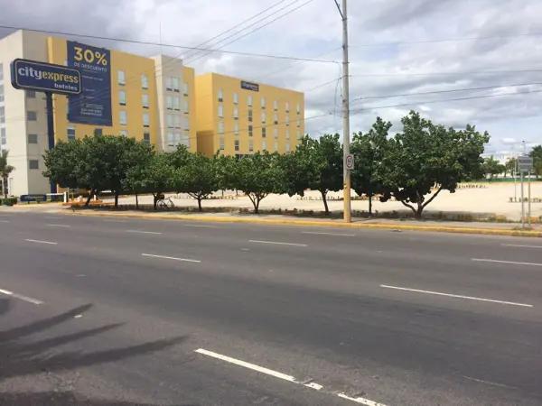 Terrenos Comerciales en Venta - Blvd entrada de Irapuato Terrenos Comerciales en Venta - Blvd entrada de Irapuato
