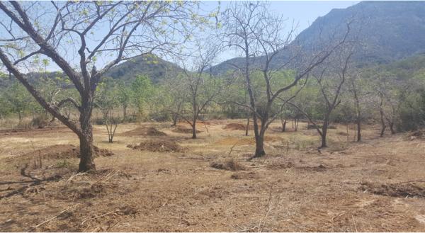 Terrenos en VENTA La Colmena, Allende N.L
