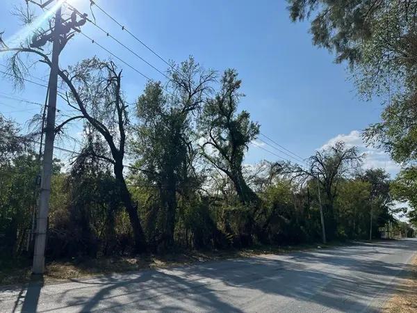 Terreno en Venta en el Centro de Montemorelos, Nuevo Leon
