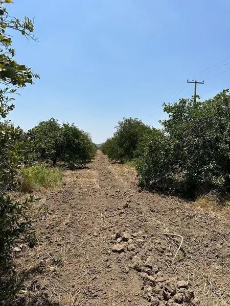 Terreno en Venta con uso de suelo Comercial / Habitacional en Linares. N.L