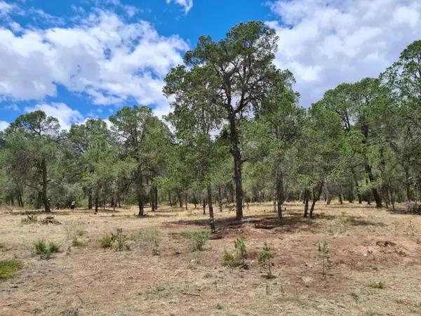 Terreno en Venta en Huachichil