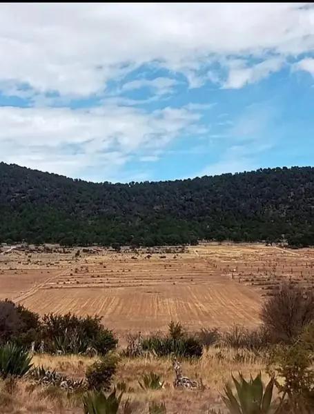 3 Hectareas Agricolas en Venta