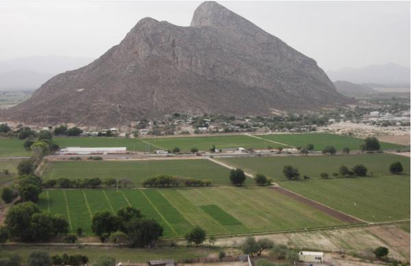 2.5 HECTAREAS DE TIERRA DE CULTIVO. LEON GUZMAN, LERDO,DGO.